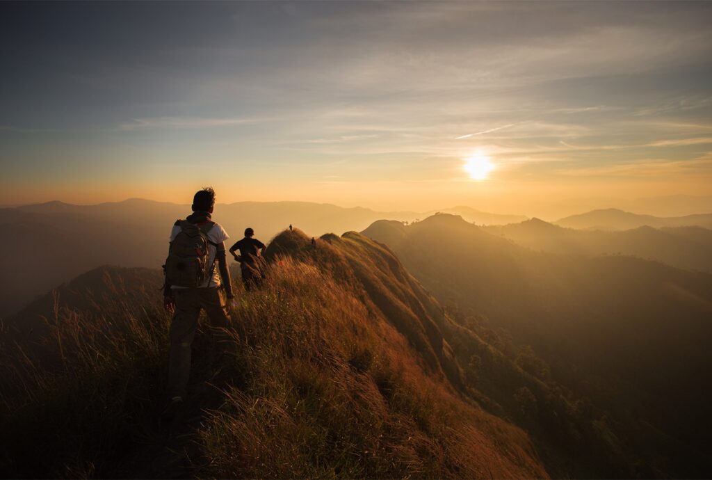 Presseartikel Trend März 2015